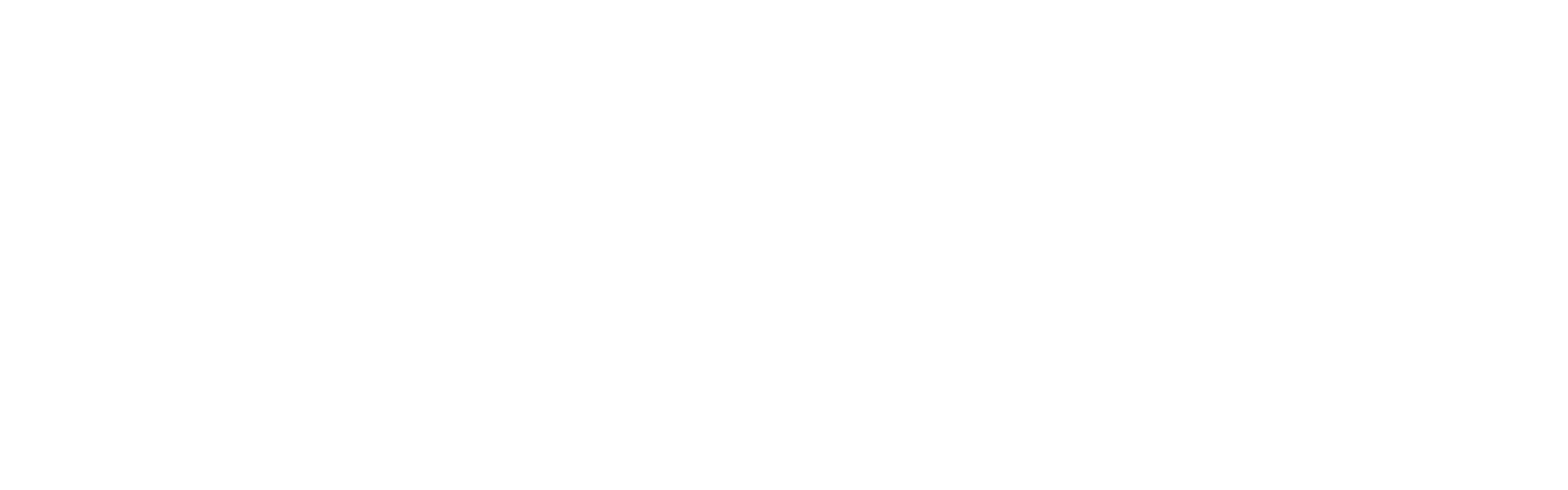 https://admin.allsvenskan-guide.se/wp-content/uploads/2024/04/stodlinjen.png logo